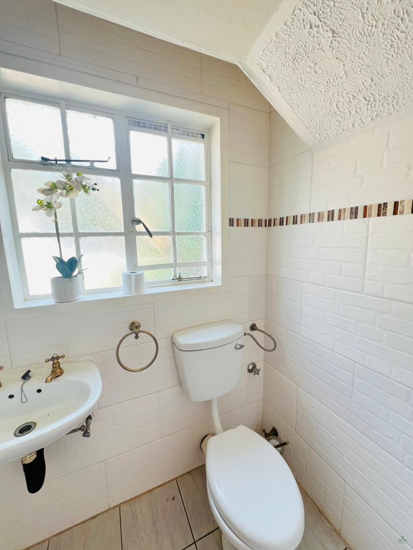 Light Avenues photo 2